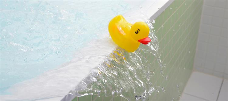 poussin dans l'eau
